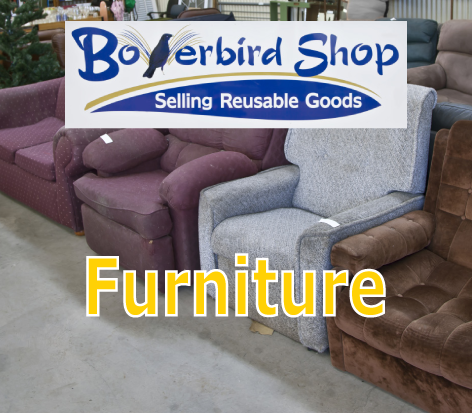Bowerbird Furniture